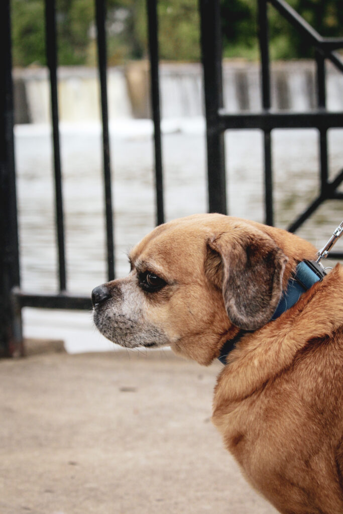 0015F906-E6AC-4032-9B5C-CD04600F8ECA_1_201_a-1 0015F906-E6AC-4032-9B5C-CD04600F8ECA_1_201_a-1