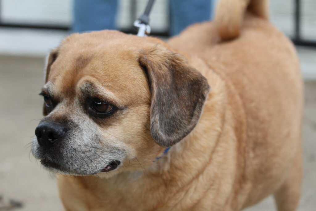 00E79C14-A6F3-41CF-990D-E3CAD437440E 00E79C14-A6F3-41CF-990D-E3CAD437440E