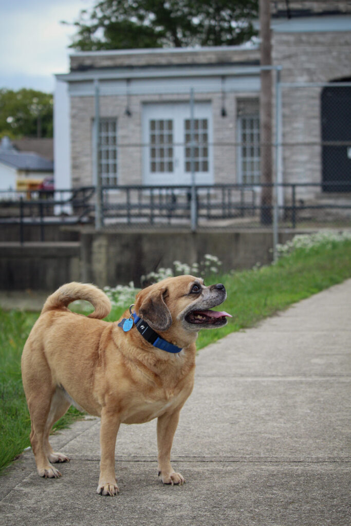 1D70D739-BA26-43D7-8467-B522CD5AA1E6(1) 1D70D739-BA26-43D7-8467-B522CD5AA1E6(1)