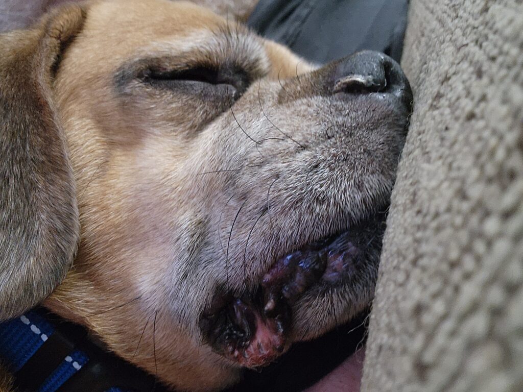 20240208_215051 20240208_215051