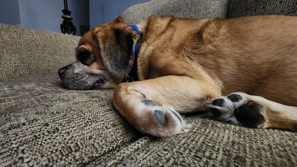 20240209_221832 20240209_221832