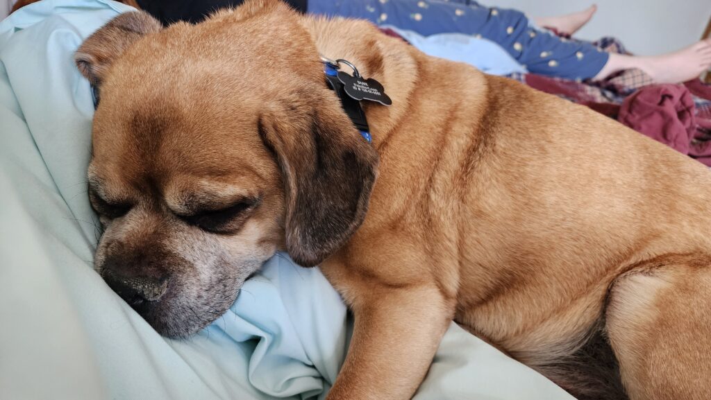 20240212_112930 20240212_112930