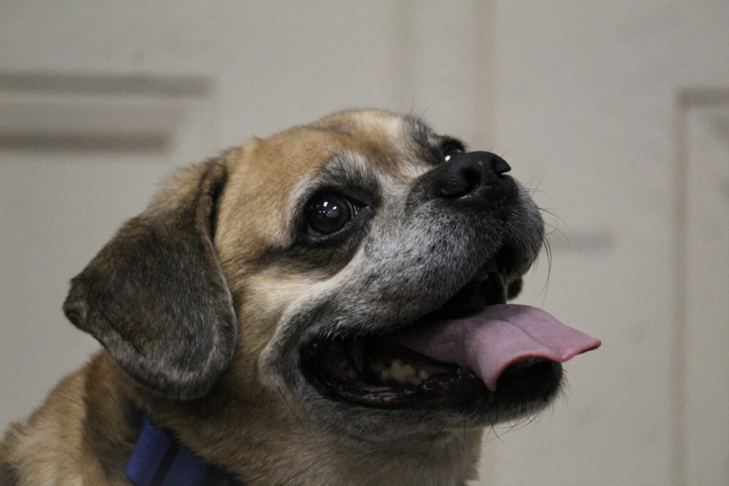 37FD2D7F-9329-4AC8-A0DE-69E8CA9F812D(1) 37FD2D7F-9329-4AC8-A0DE-69E8CA9F812D(1)