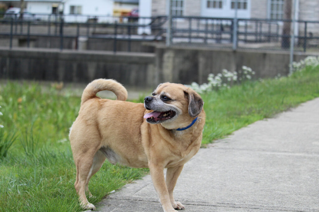 748C0E82-E420-42F5-B3AF-BC3631C8B923(1) 748C0E82-E420-42F5-B3AF-BC3631C8B923(1)