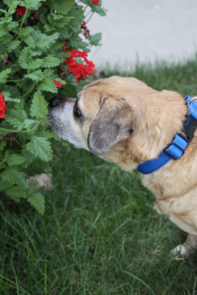 9A7C52BD-7035-4ADD-ADDD-D113D432147E(1) 9A7C52BD-7035-4ADD-ADDD-D113D432147E(1)