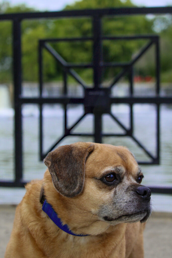 A07CC6BD-365B-45F3-814F-706E8831265D_1_201_a(1) A07CC6BD-365B-45F3-814F-706E8831265D_1_201_a(1)