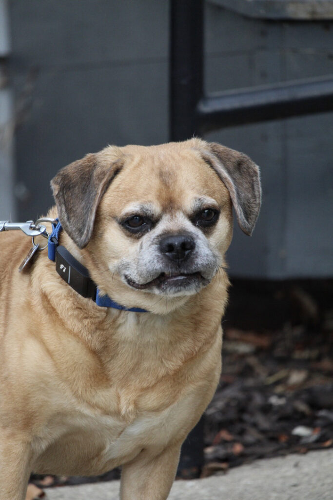 ABA4CA74-CF37-4CB4-AE8A-B15AB348AFF6_1_105_c(1) ABA4CA74-CF37-4CB4-AE8A-B15AB348AFF6_1_105_c(1)