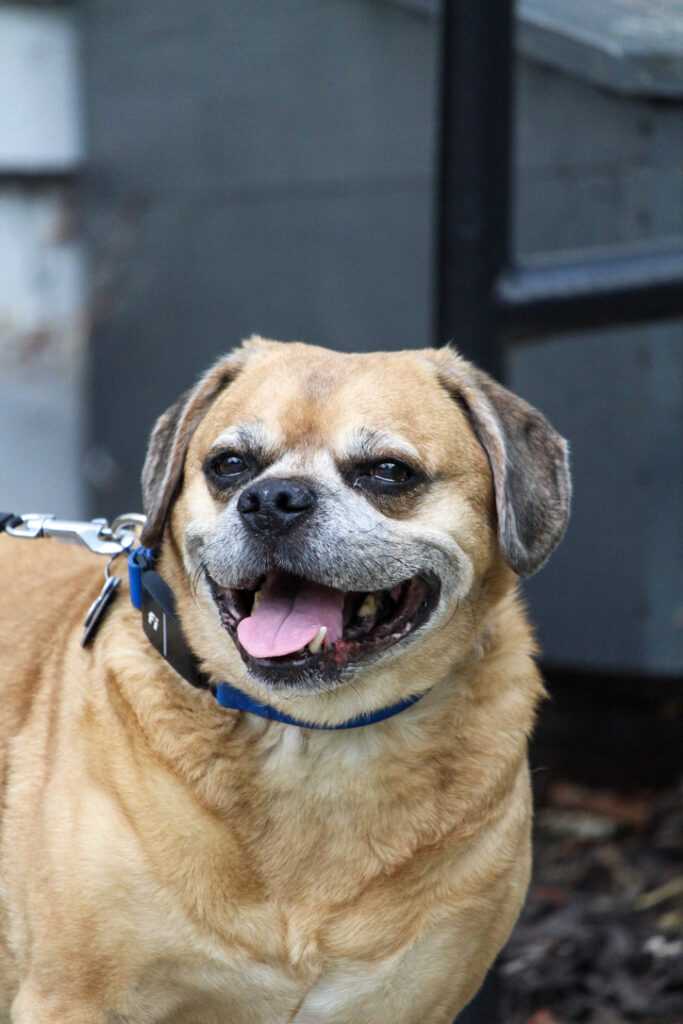 AFDBC298-81FA-448D-B5A5-EEAD948CED25_1_105_c(1) AFDBC298-81FA-448D-B5A5-EEAD948CED25_1_105_c(1)