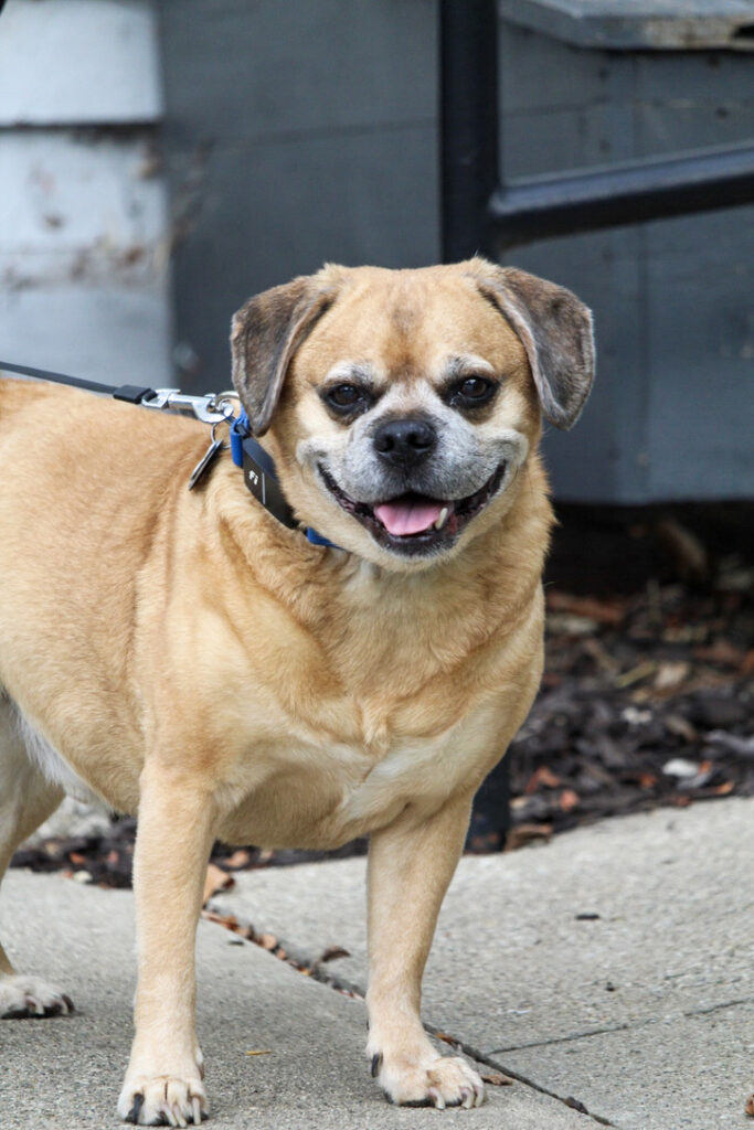 B0D4B4B5-C0E6-452A-B4D1-80286FE95920_1_105_c(1) B0D4B4B5-C0E6-452A-B4D1-80286FE95920_1_105_c(1)