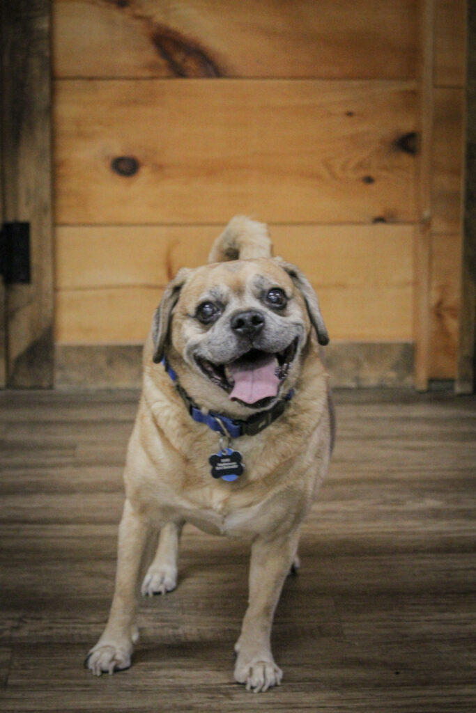 BDAC4FBF-C3A0-48DA-BC09-53E2B3682413(1) BDAC4FBF-C3A0-48DA-BC09-53E2B3682413(1)