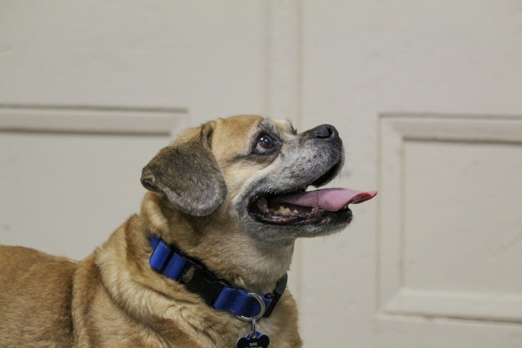 D6C9017C-FF4D-4D11-AF5C-8FC0C64A337A(1) D6C9017C-FF4D-4D11-AF5C-8FC0C64A337A(1)