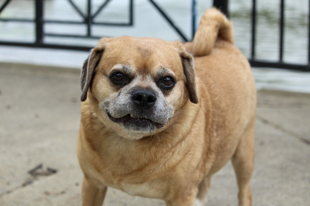 EA020B5A-EB1B-4C3E-A2D5-3496D3503793(1) EA020B5A-EB1B-4C3E-A2D5-3496D3503793(1)