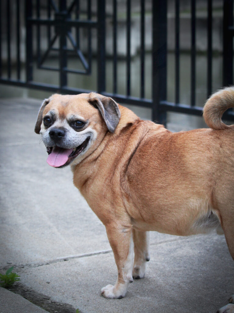 F9E89075-ED78-4B65-8BA0-1CEA85831967(1) F9E89075-ED78-4B65-8BA0-1CEA85831967(1)