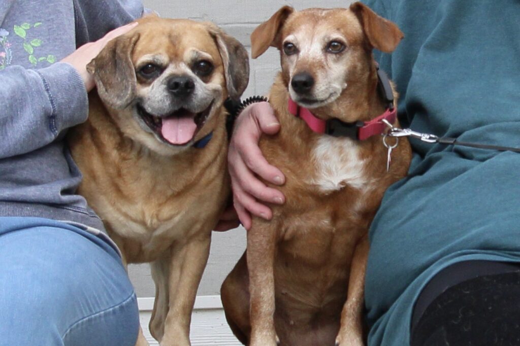 IMG_3039(1) IMG_3039(1)